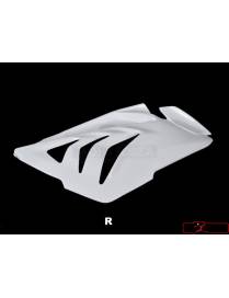 Side part Right Motoforza BMW S1000RR 2012 to 2014