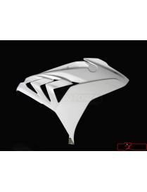 Side part Right Motoforza BMW S1000RR 2015 to 2018