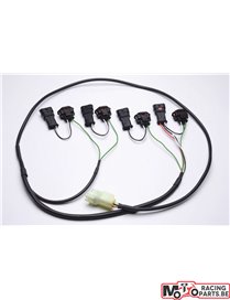 Harness kit for quickshifter Healtech QSH-P4E