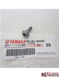 Screw brake disc Yamaha 901490604500